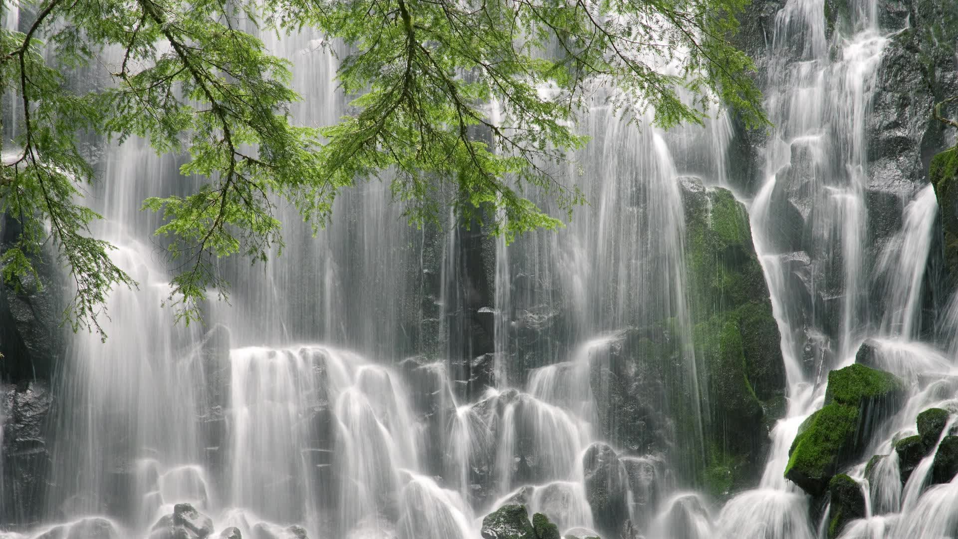世界游泳锦标赛推广无障碍观赛方案,世界锦标赛游泳比赛视频